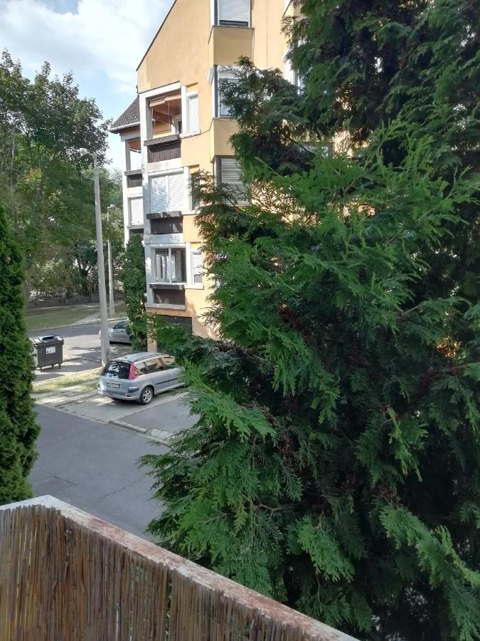 Rokus Apartman Διαμέρισμα Σέγκεντ Εξωτερικό φωτογραφία